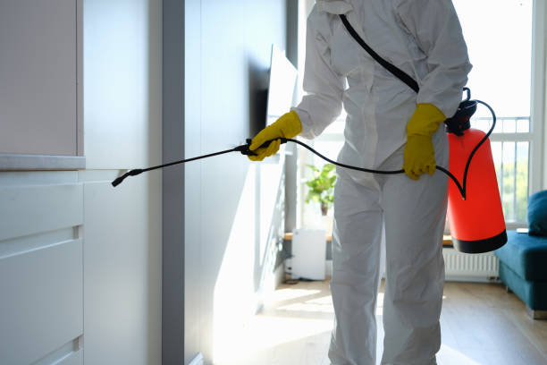 Certified Mold Removal in Tariffville, CT